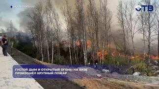 Густой дым и открытый огонь: на ВИЗе произошёл крупный пожар