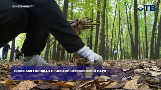 Более 500 горожан прибрали Основинский парк