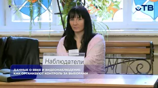 Данные о явке и видеонаблюдение: как организуют контроль за выборами