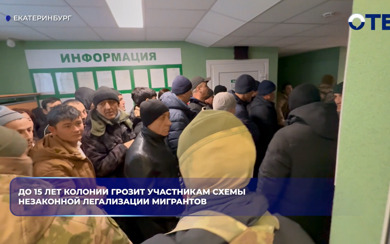 До 15 лет колонии грозит участникам схемы незаконной легализации мигрантов