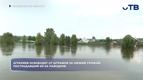 Аграриев освободят от штрафов за низкий урожай, пострадавший из-за паводков