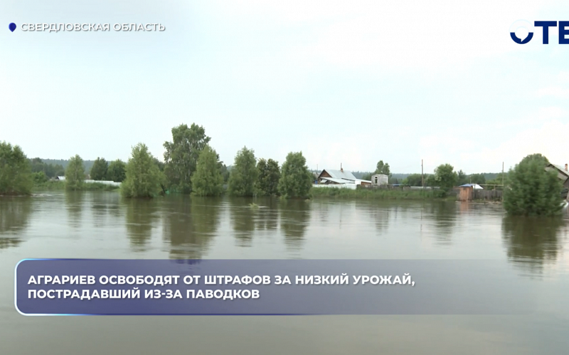 Аграриев освободят от штрафов за низкий урожай, пострадавший из-за паводков