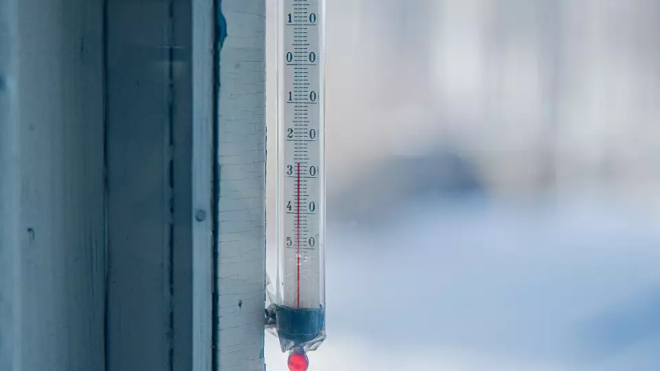 Врачи рассказали, как аномально теплая зима угрожает здоровью