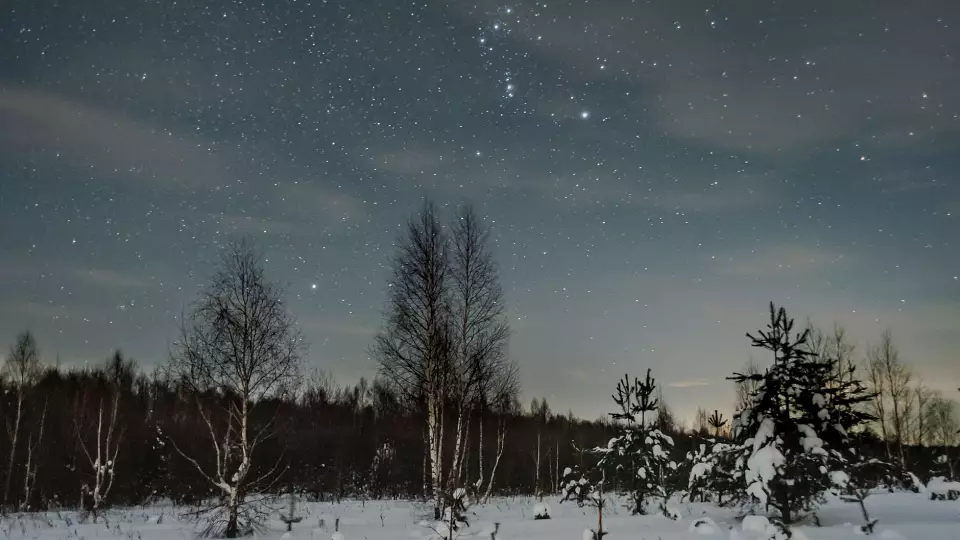 Свердловчане смогут увидеть метеорный поток Лириды