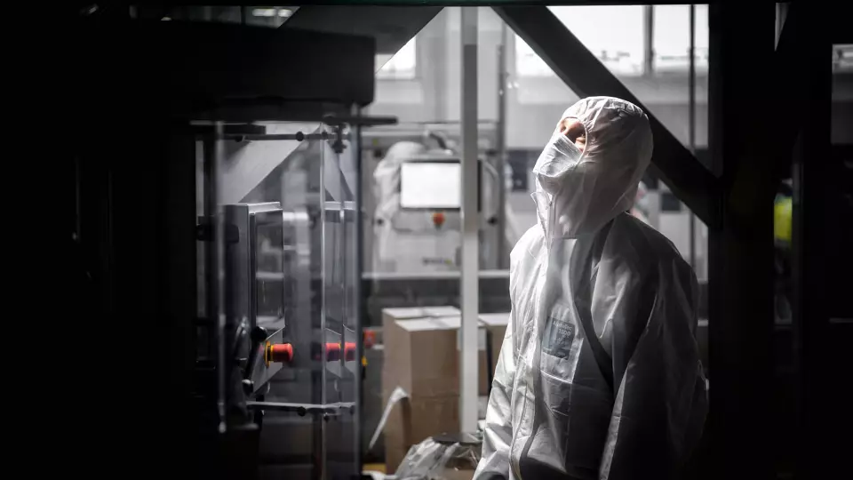 «Арнест» увеличит производство на «Калине» на 30% к 2030 году