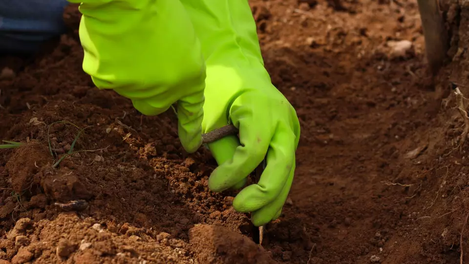 Лучший трудовой отряд выбран в Свердловской области