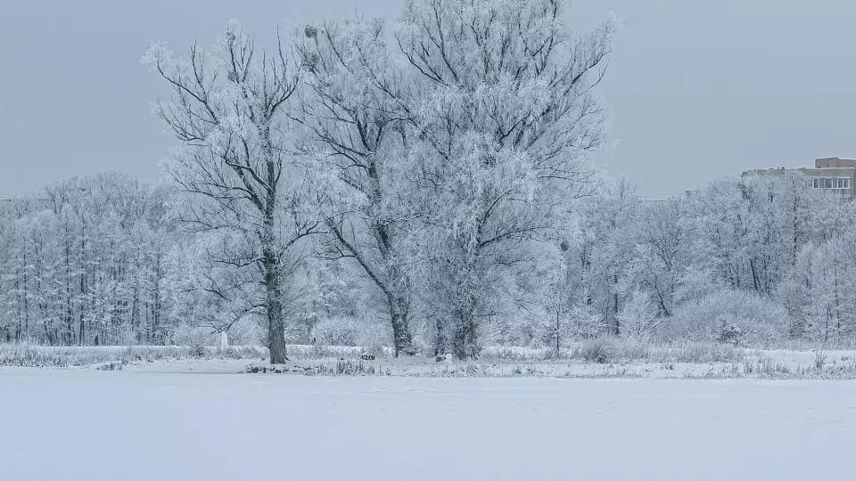 Гороскоп на 13 ноября: Скорпионам — стать алхимиком рутины, Весам — танцевать как снежинки