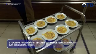 В Госдуме предложили ввести бесплатное горячее питание для всех школьников