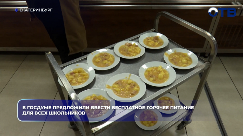 В Госдуме предложили ввести бесплатное горячее питание для всех школьников