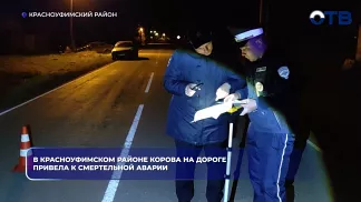 В Красноуфимском районе корова на дороге привела к смертельной аварии
