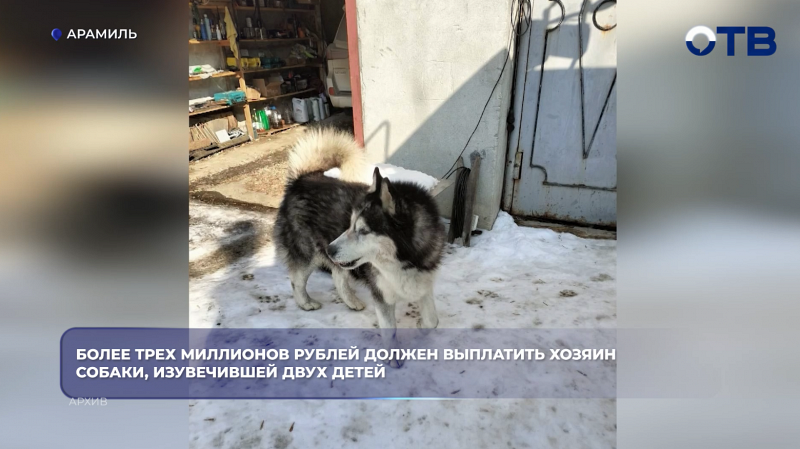Более трех миллионов рублей должен выплатить хозяин собаки, изувечившей двух детей