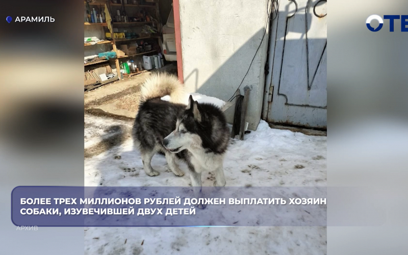 Более трех миллионов рублей должен выплатить хозяин собаки, изувечившей двух детей