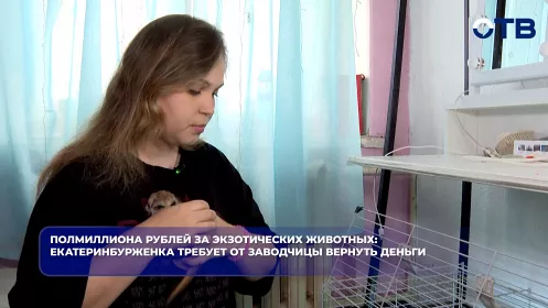 Полмиллиона рублей за экзотических животных: екатеринбурженка требует от заводчицы вернуть деньги