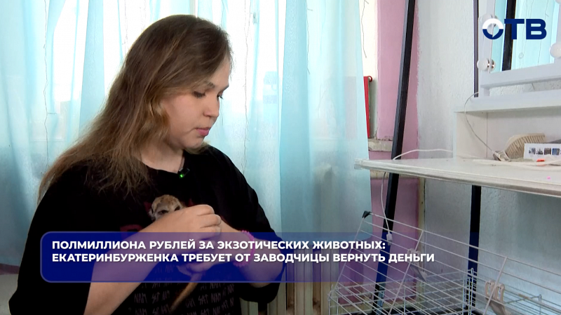 Полмиллиона рублей за экзотических животных: екатеринбурженка требует от заводчицы вернуть деньги