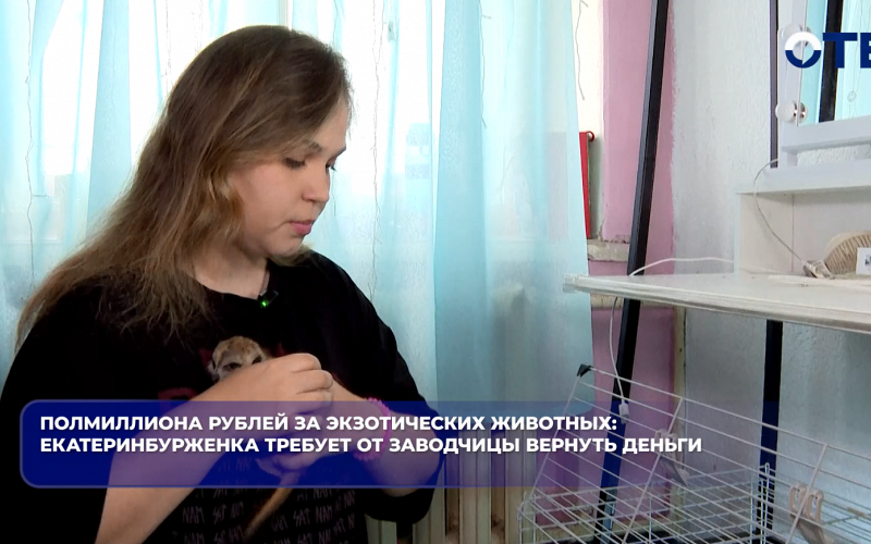 Полмиллиона рублей за экзотических животных: екатеринбурженка требует от заводчицы вернуть деньги