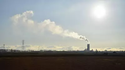 Тундра больше не спасает климат: учёные УрФУ зафиксировали выброс углерода
