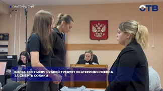 Более 400 тысяч рублей требует екатеринбурженка за смерть собаки