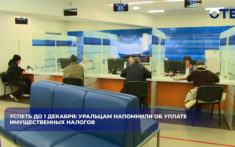 Успеть до 1 декабря: уральцам напомнили об уплате имущественных налогов