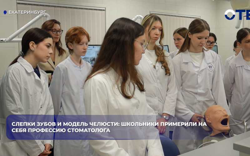Слепки зубов и модель челюсти: школьники примерили на себя профессию стоматолога