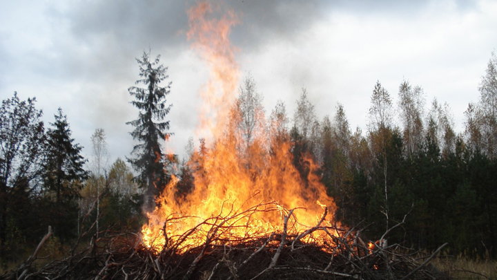 В 24 свердловских муниципалитетах ввели противопожарный режим