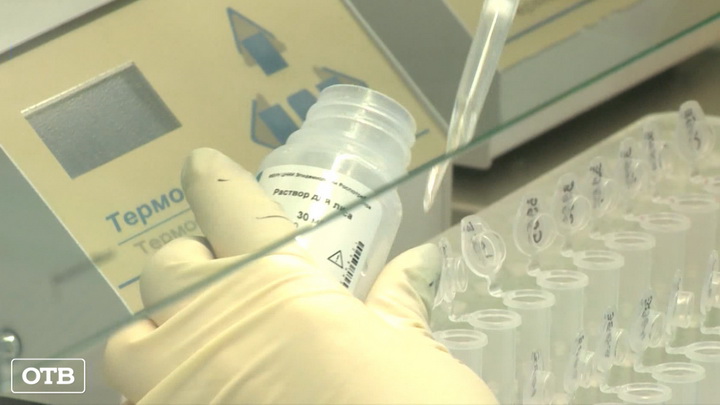 В Екатеринбурге и Нижнем Тагиле открылись лаборатории для диагностики коронавируса