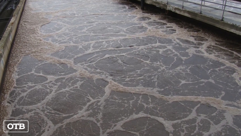 Река Исеть в Екатеринбурге стала чище