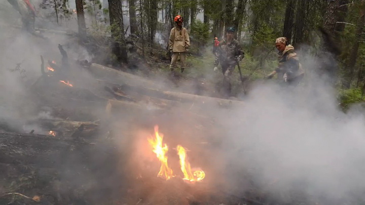 На Среднем Урале за сутки ликвидировали 11 лесных пожаров