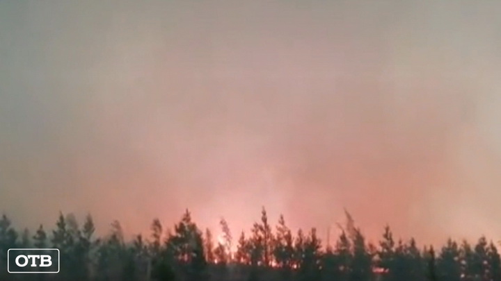 Свердловские пожарные десантники едва не сгорели в Тюменском лесу