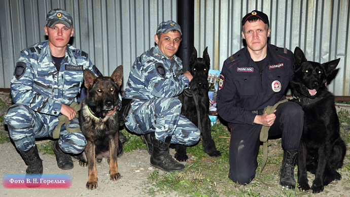 Свердловские полицейские отправились на Северный Кавказ со служебными собаками