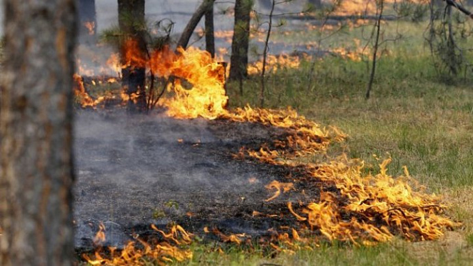 Более 560 человек тушат лесные пожары в Свердловской области