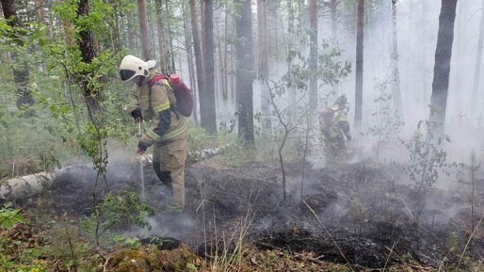 Дополнительные силы парашютистов-десантников перебросят на север Урала для тушения природных пожаров