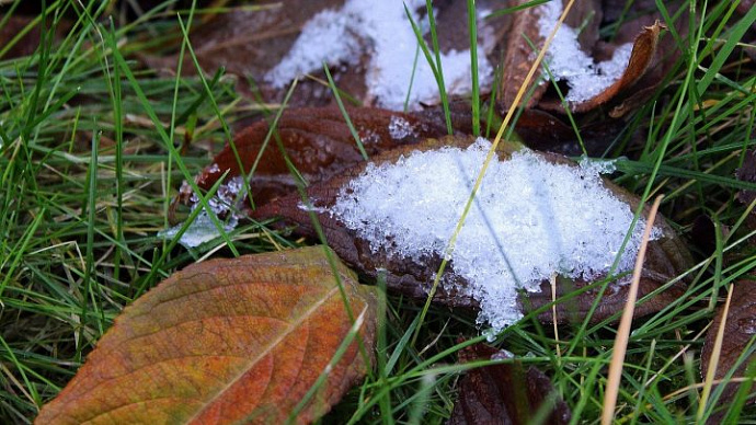 Заморозки, дожди и мокрый снег ожидаются в Свердловской области 17-19 сентября